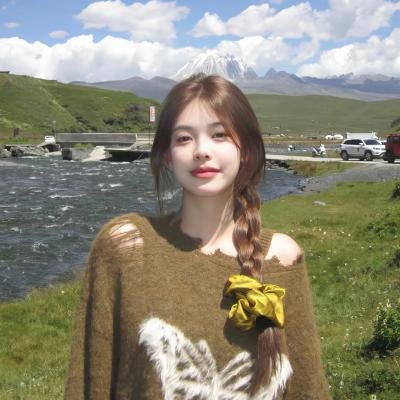 大鸟和小鸟